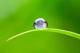 oneness2